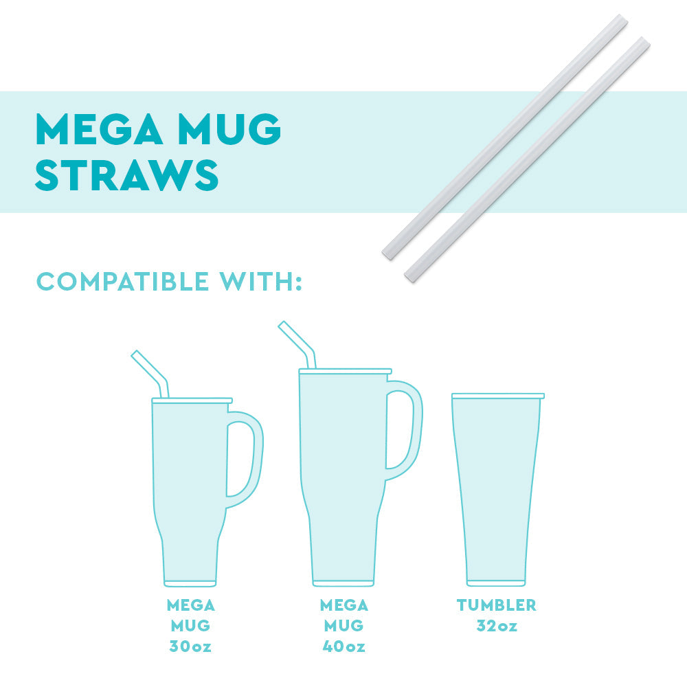 Replacement Straws 2-Pack (Mega Mugs)