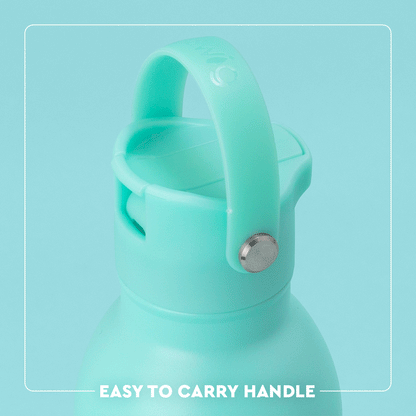 Cesta de picnic plegable + botella para beber (26 oz)